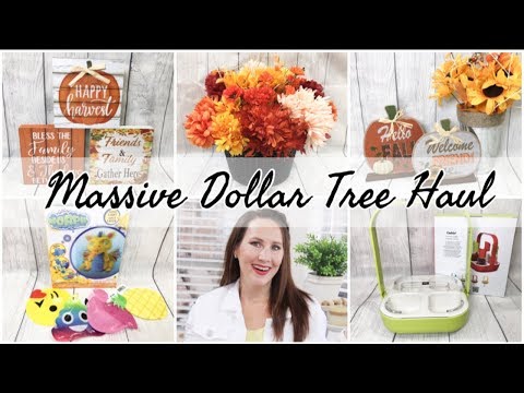 DOLLAR TREE HAUL JULY 2019 | NEW DOLLAR STORE FINDS Video