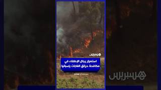 استمرار رجال الإطفاء في مكافحة النيران المشتعلة بغابات غاليسيا في شمال غرب إسبانيا thumbnail