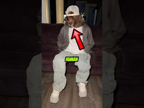 These Dogs Think They’re Human… And It’s HILARIOUS 😂🐶🐕