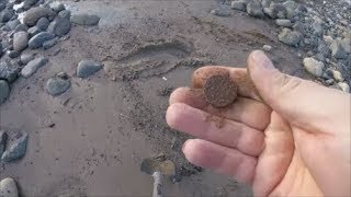 Beach Metal Detecting East Coast Silvery Sunday