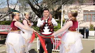 Bledar Dapa - Leu Hona Doli Ylli