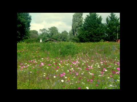 Relaxation  / Bien-être / Détente / Sophrosand / Promenade à la campagne...