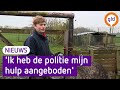 Loslopende emoe in Achterhoek is gevangen