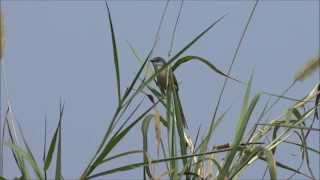 [問卦] 人生面臨死棋會想做出重大決定嗎？