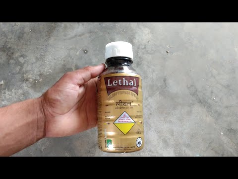 Lethal Chlorpyrifos 20% EC  20 Litre Can