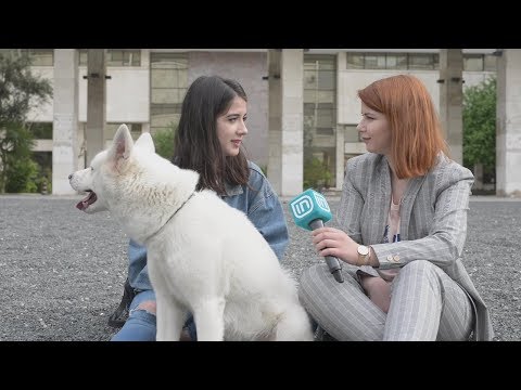 Akita në Life is Better with Friends 10/04/2018 | IN TV Albania