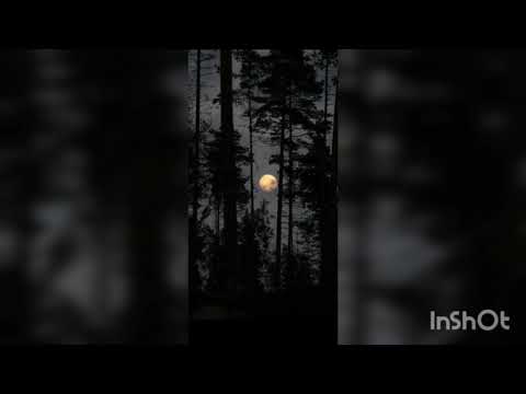 kekra - Vréalité Feat Niska (boost loop deeper)