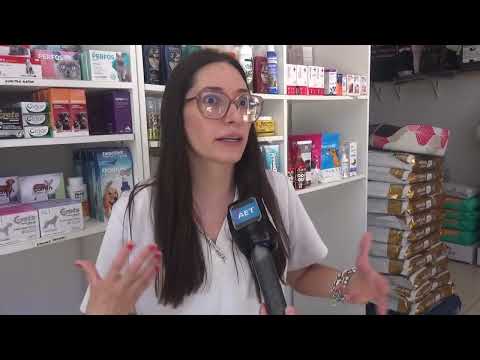 YAMILA ACOSTA - VETERINARIAN, CARING FOR OUR PETS IN THE FACE OF THE "MISUSE OF FIREWORKS"