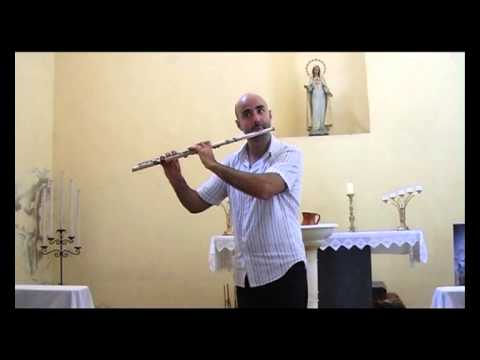 Solo Flute project 1 - 27.07.2012