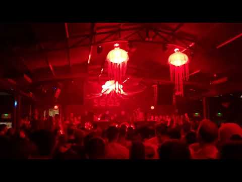 Anotr | Surreal Park | Seas Label | 25/11/2022