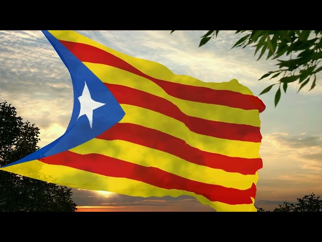 Vídeo relacionado con Bandera Catalana Grande 150x90cm, Estelada Blava Independentista, Impermeable, Ideal Para Interior y Exterior