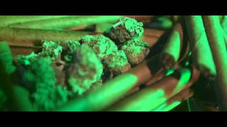 Fredo + Gee Money - Fulla Dat Shit [ft. @BGotLegs]