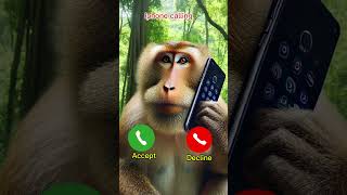 Download lagu #iphone #calling #reels #ringtone #monkey #shorts mp3 Download lagu #iphone #calling #reels #ringtone #monkey #shorts mp3