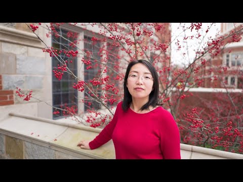 AI/ML Seminar Series: Jing Zhang (5/24/2021)