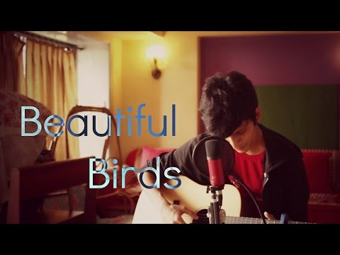 Beautiful Birds (Passenger) || Shrey Vaity