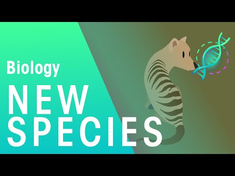 Formation of New Species by Speciation | Evolution | Biology | FuseSchool