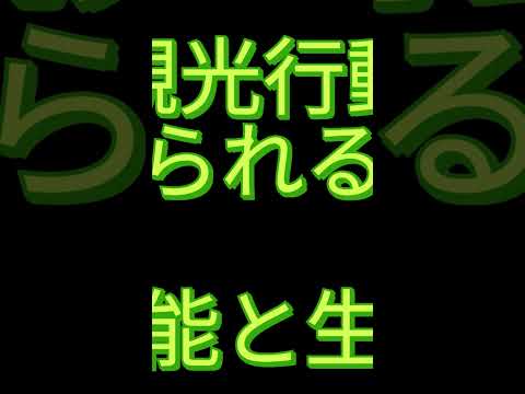 観光政策学科 2025年8月8日