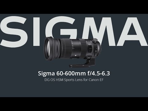 Sigma 60- 600mm