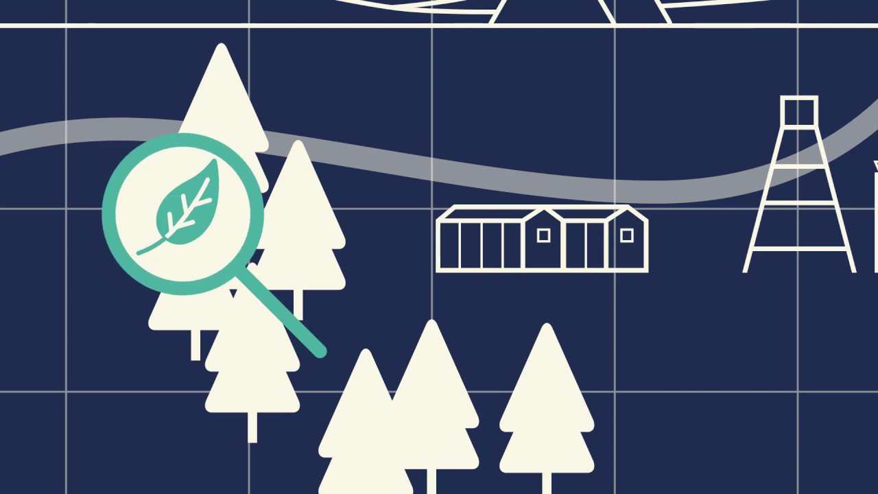 Mining Principles: Decision-Making