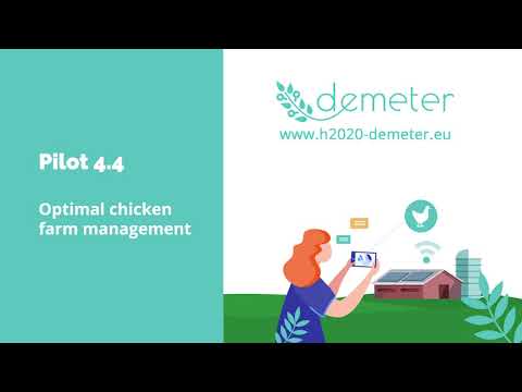 Demeter pilot 4.4