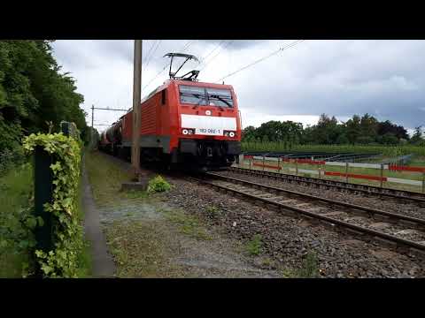 *UNIEK* LANGE UC Onnen door Glimmen!