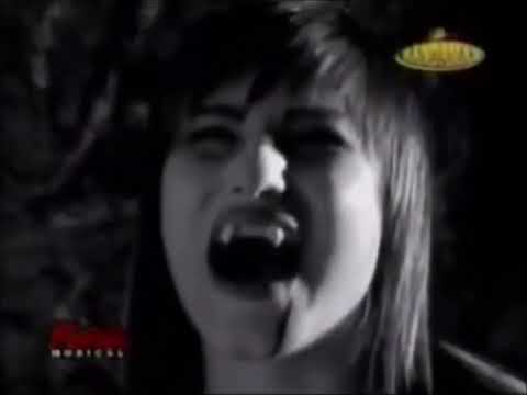Los tigrillos-La vampiresa -video oficial