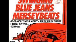 Swinging Blue Jeans - You`re No Good