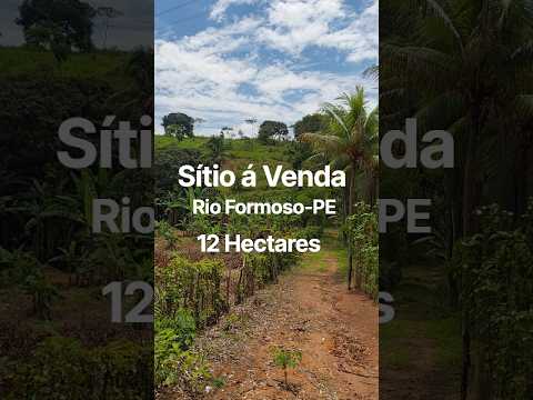 Sítio á Venda Zona Rural de Rio Formoso-PE  12 Hectares