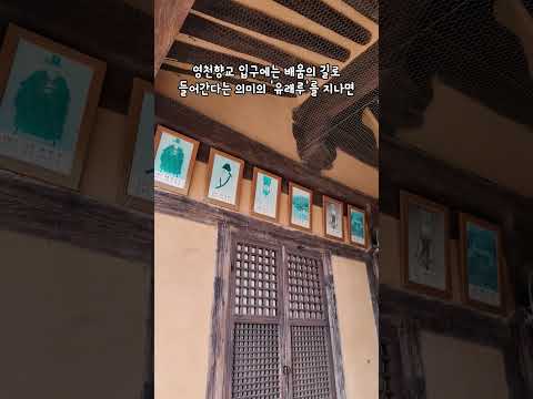 [2026새영천알림이단✨] 600년 유교 문화를 지켜온 영천향교