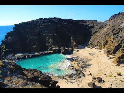 Waikiki Trolley 2018 Blue Line
