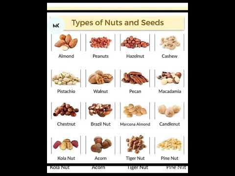 Types of nuts and seeds #mk