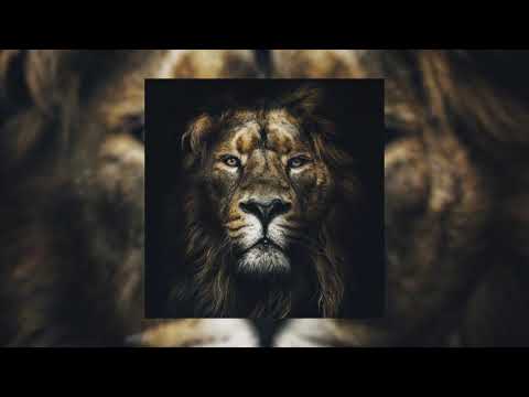 Video thumbnail for Lion
