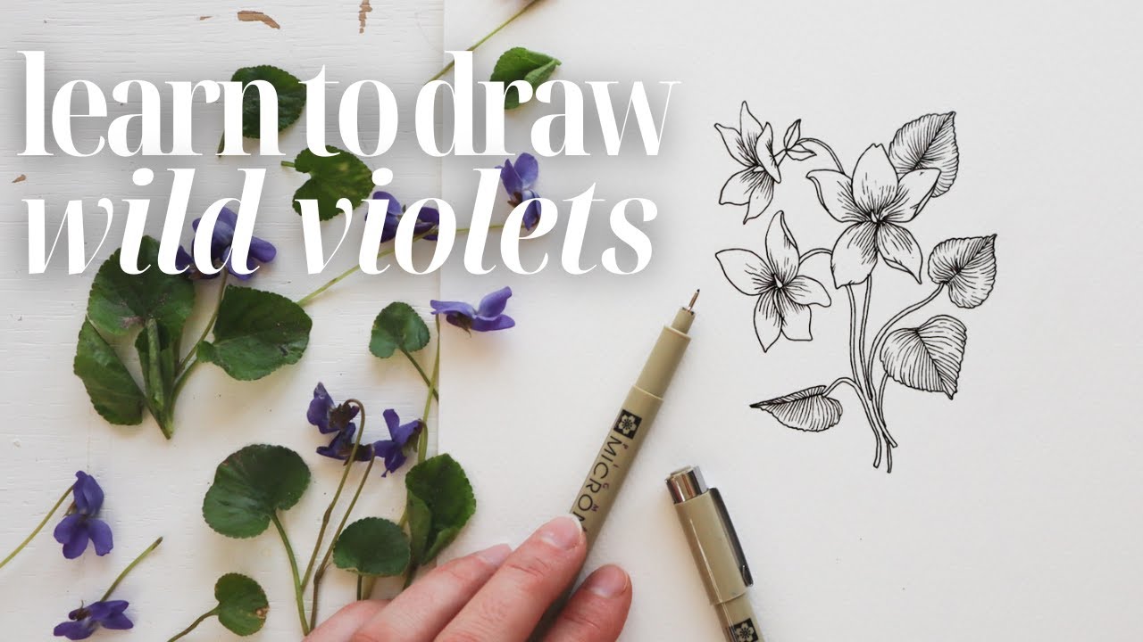 EASY How to Draw Flowers ❃ Wild Violets Drawing Tutorial