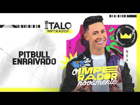 PITBULL ENRAIVADO - Italo Imperador