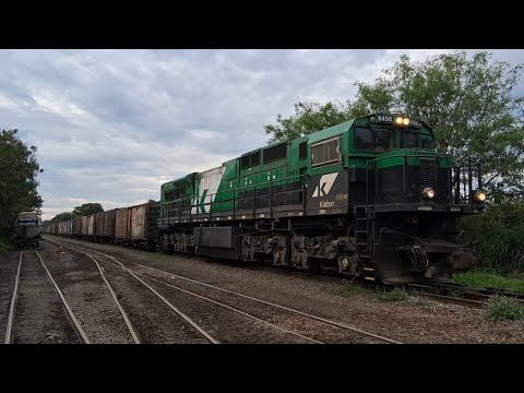 Trem em Maringá-PR composição Locotrol ES43BBI em Vicente Montanha. 16/11/2025