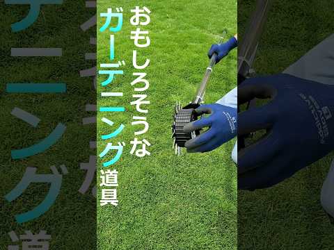 どうしたら綺麗な芝生になるのでしょうか？これらの実践的なヒントとアドバイスのおかげで、夢の芝生が手に入るでしょう。  庭園