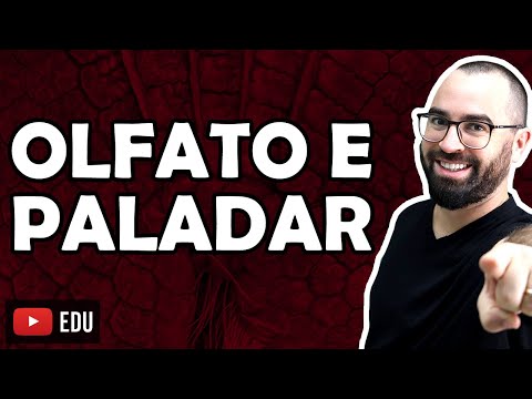 Smell and Taste - Class 41 - Module VII: Human Histology and Physiology | Prof. Gui