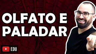 Olfato e Paladar - Aula 41 - Módulo VII: Histologia e Fisiologia Humana | Prof. Gui