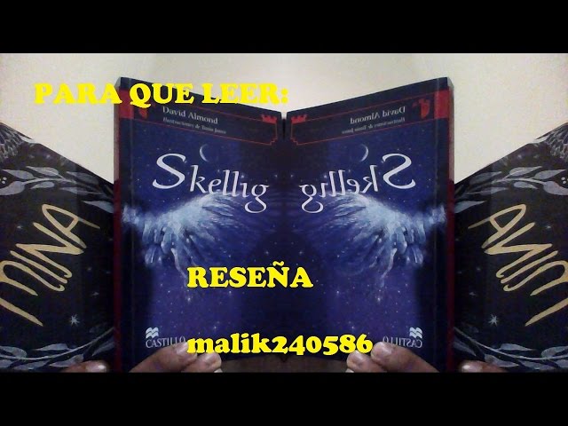 Vídeo relacionado con Skellig