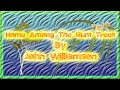 Home Among The Gum Trees (John Williamson ...