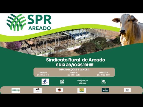 🎥 Leilão Presencial e Virtual Sindicato de Areado - 🎬 tvgado.com.br