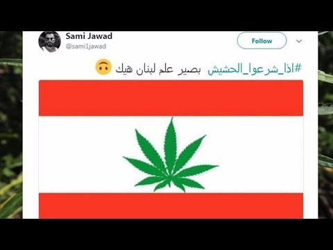 هل يصبح لبنان أول دولة عربية تشرع الحشيش؟
