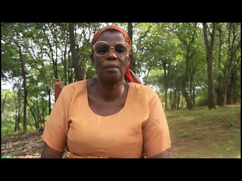 Who Is Jesus To You? - Nindi (Kinindi) language from Lifeword.org