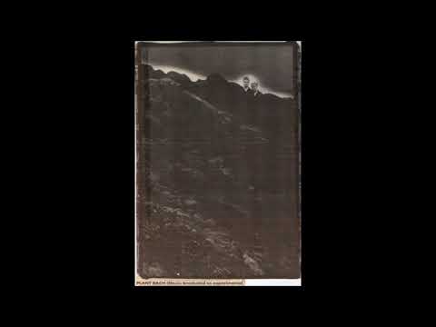 Plant Bach Ofnus - Saith (Seventh)  (Peel Session 06.01.1991)