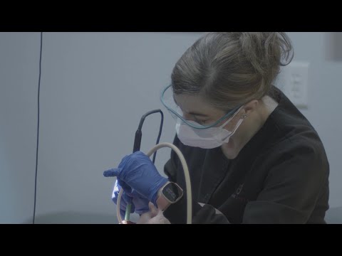 Texas Dental's Story: Successful Practice Explores Affiliation Opportunities