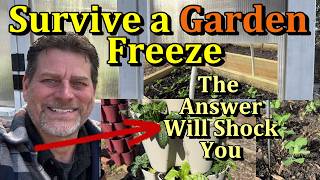 How to Beat a Garden Frost or Freeze for Cool Weather Crops (Just Do One Thing)
