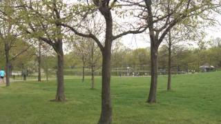 Oh, What a Beautiful Mornin'