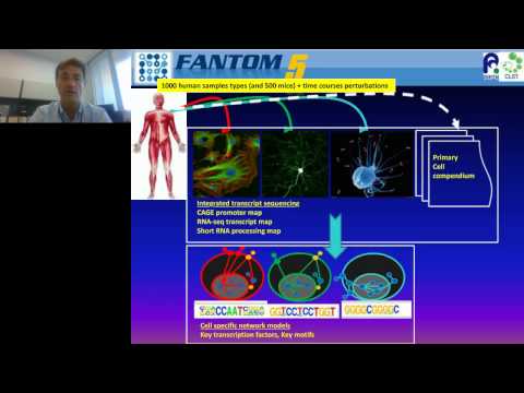 Piero Carninci - Unexpected Findings from Analysis of Complex Mammalian Transcriptomes