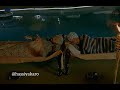 Manje Bistre 2 Funny Video