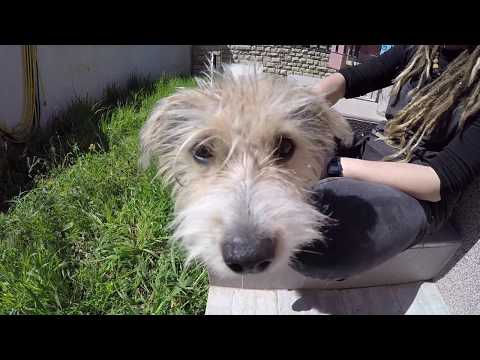 Conscious Youth: Croatia/Bosnia trip 2018